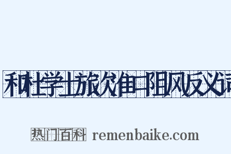 和杜学士旅次淮口阻风反义词是什么意思的图片
